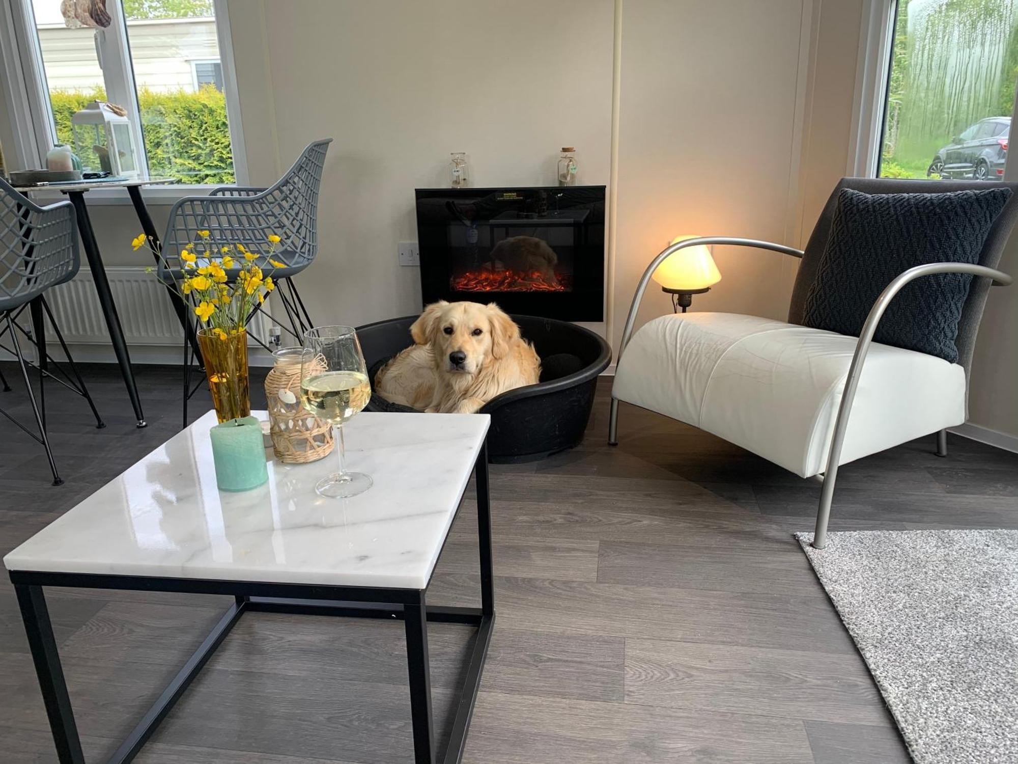 Natur Pur, O4 Neues Ferienhaus Natureingebunden, Familien- Und Hundefreundlich Eingezaeunt Callantsoog Extérieur photo