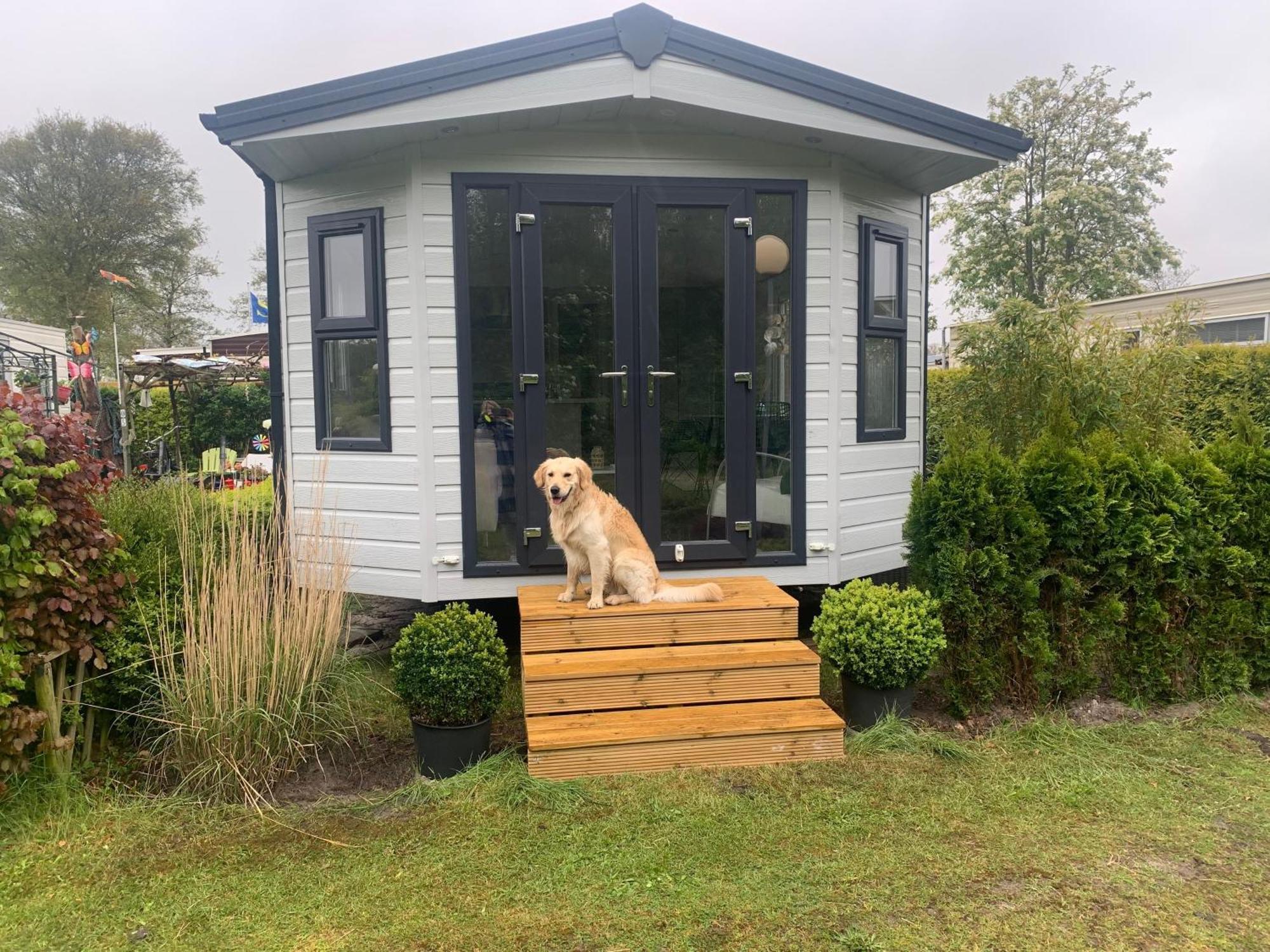 Natur Pur, O4 Neues Ferienhaus Natureingebunden, Familien- Und Hundefreundlich Eingezaeunt Callantsoog Extérieur photo